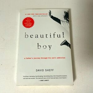 Beautiful Boy by David Sheff